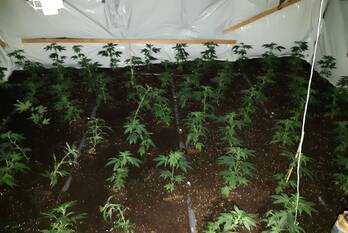 nieuws aldegondestraat amersfoort