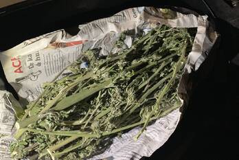 nieuws bredaseweg etten-leur