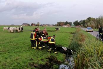 nieuws nieuweweg leiderdorp
