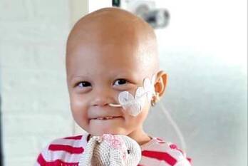 nieuws koggelaan zwolle