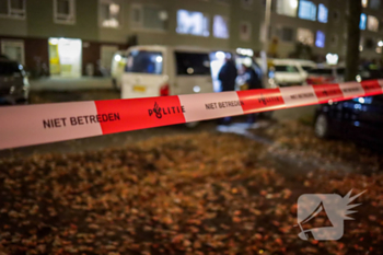 nieuws antwerpsestraat bergen op zoom