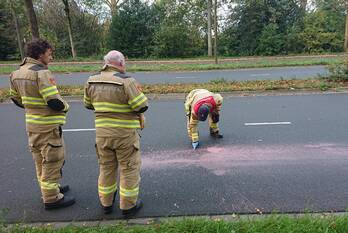 nieuws kastelenlaan ede