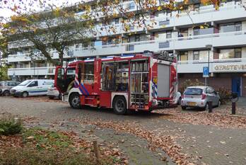 nieuws gersteveld veenendaal