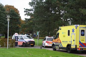 steekincident albrandswaardsedijk poortugaal