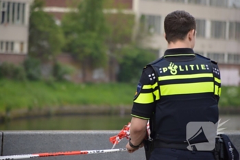 nieuws kwikstaart sint-oedenrode