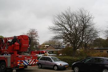 nieuws akeleistraat spijkenisse