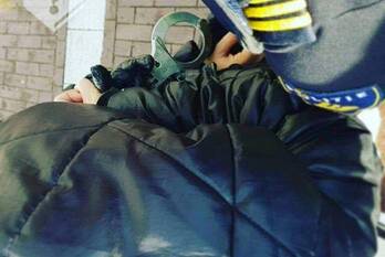 nieuws prinses beatrixlaan - s106 rijswijk