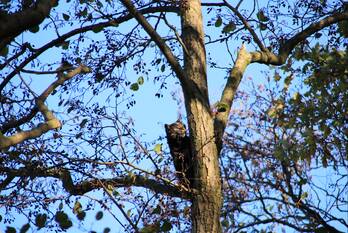 nieuws ruwinkelseweg renswoude