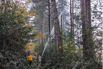 natuur doctor abraham kuyperlaan amersfoort