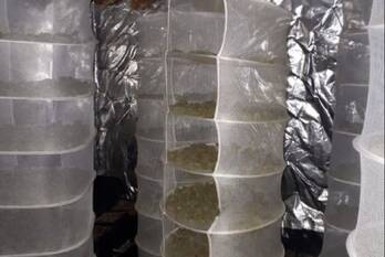 nieuws peulenlaan hardinxveld-giessendam