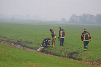 nieuws provincialeweg leiderdorp
