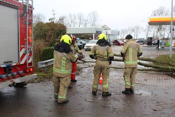 nieuws boerenweg zierikzee