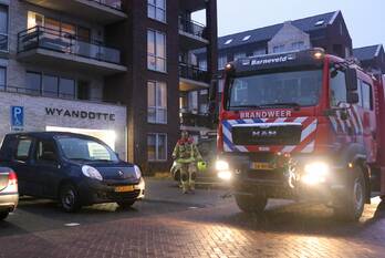 nieuws wyandottelaan barneveld