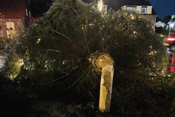 nieuws schoolstraat vorstenbosch