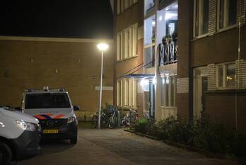 steekincident grote stern rozenburg