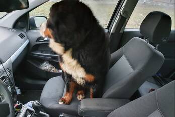 nieuws rijksweg a30 ede