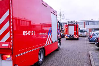 nieuws kolkrijst hoogland