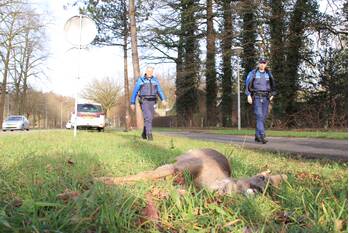 ongeval edeseweg bennekom