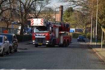 brand wilgenlei rotterdam