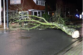 nieuws beuckelaerstraat sint annaparochie