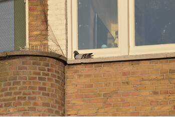 nieuws kleiweg rotterdam