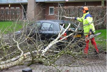 nieuws appelstraat leeuwarden