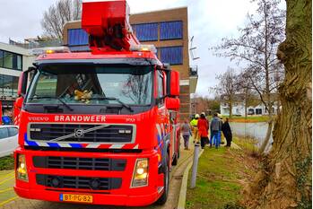 nieuws zwijsenhof veghel