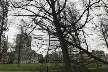 nieuws eebuurt leeuwarden