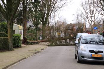 natuur leeuwerikstraat barneveld