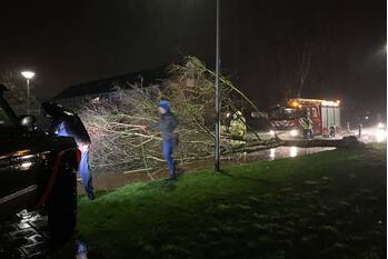 nieuws wederiklaan kampen