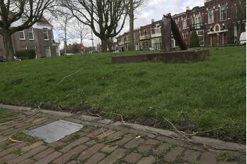 nieuws emmakade leeuwarden