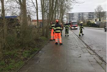 nieuws ludinga leeuwarden