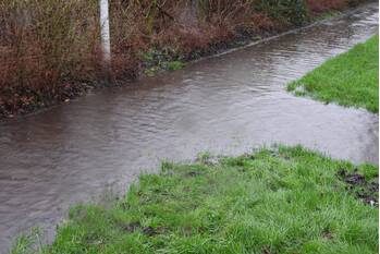 nieuws wythusterwei stiens