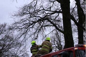 nieuws heetweg kootwijk