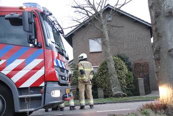 nieuws manegestraat zeeland