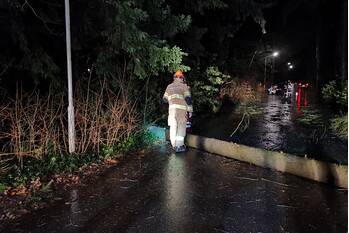 nieuws heimanslaan wageningen