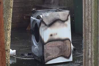 brand dotterplantsoen gouda