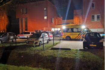 steekincident morel wageningen