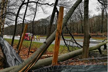 natuur rijksweg a12 bennekom