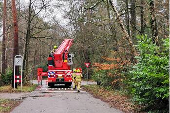 nieuws marterlaan wageningen