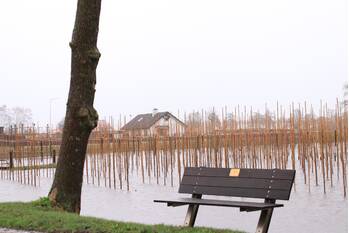 natuur otterloseweg - n801 wekerom
