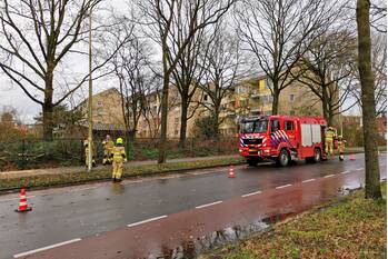 natuur kierkamperweg - n782 bennekom