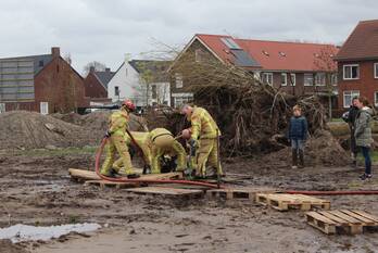 nieuws glanslibel son