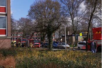 brand pollenstein ede