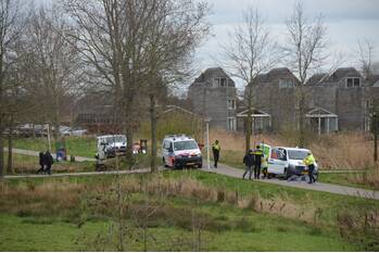 nieuws groene sterpad leeuwarden