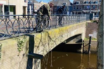 nieuws parklaan veghel