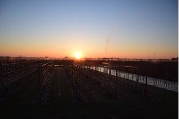 natuur mezenweg hedel