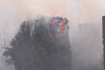 brand torenstraat schimmert