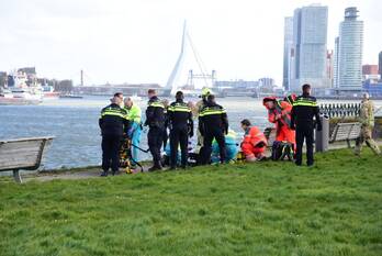 nieuws dokhavenpark rotterdam