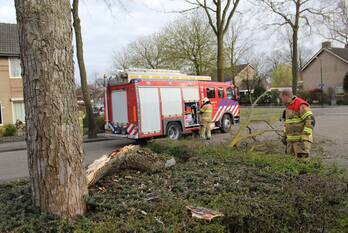 nieuws deken van dijkstraat schijndel